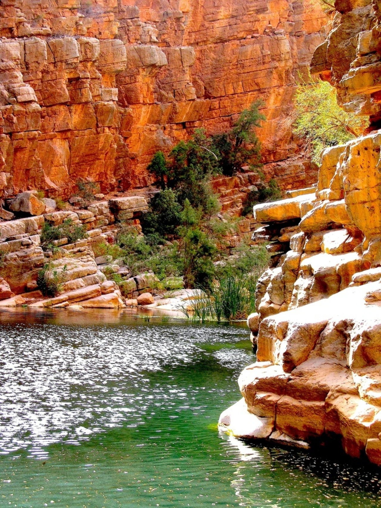 Paradise Valley Tour from Agadir