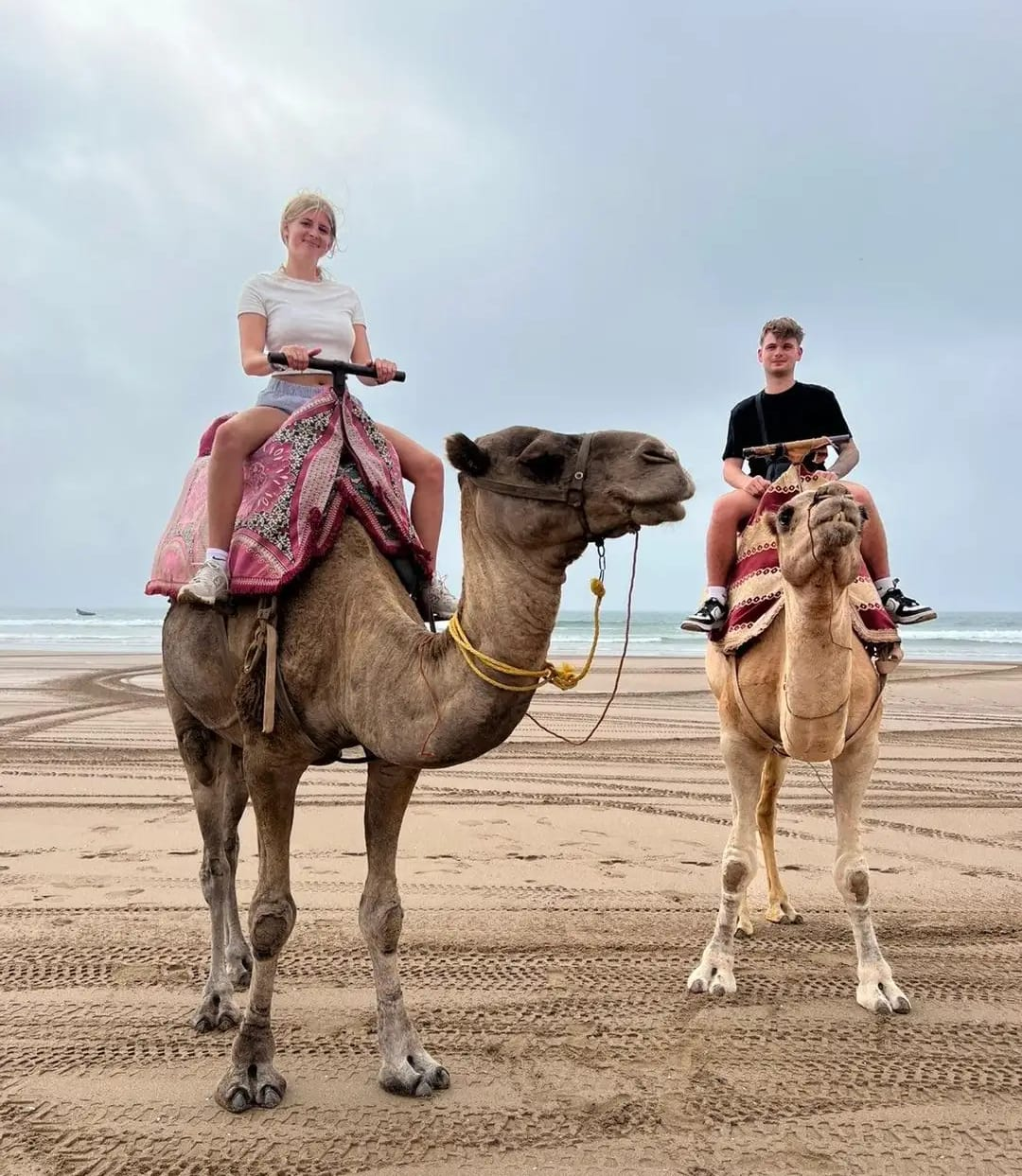 Agadir buggy tour group adventure