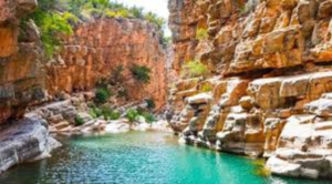Paradise Valley swimming pool and palm oasis