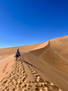 Golden dunes and beach scenery near Agadir